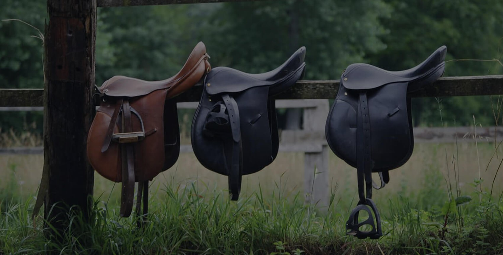 Saddle